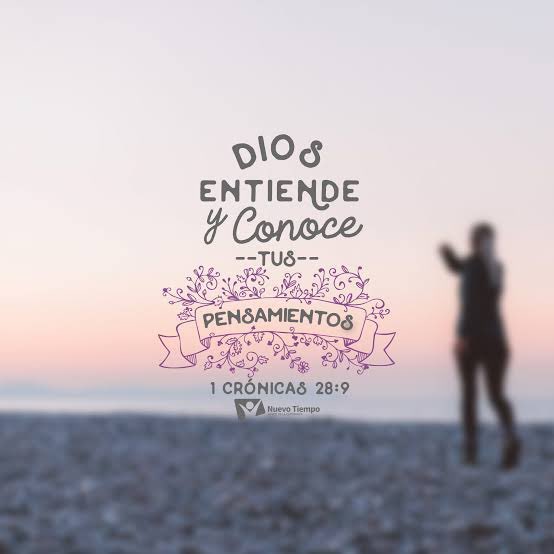 Samuel Tenorio Alfaro tweet media