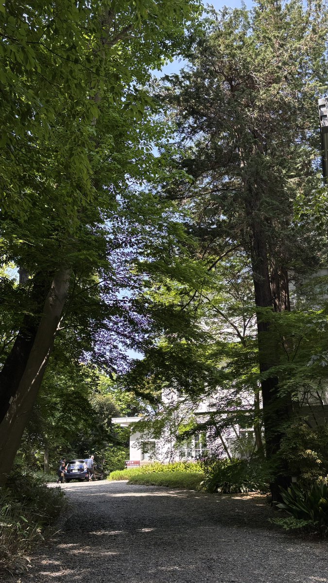 今日のこもれび。
随分と緑が濃くなりました。
#永青文庫