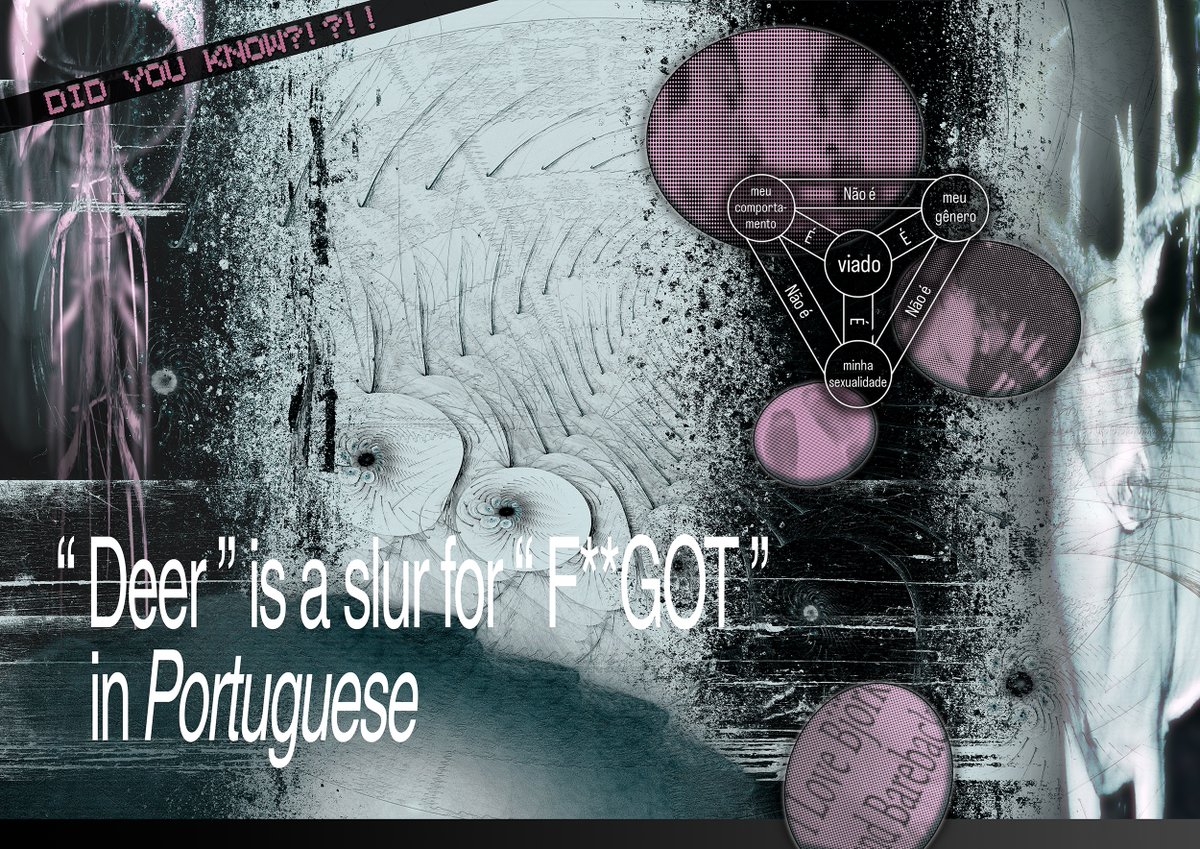 Pedro Stolf tweet media