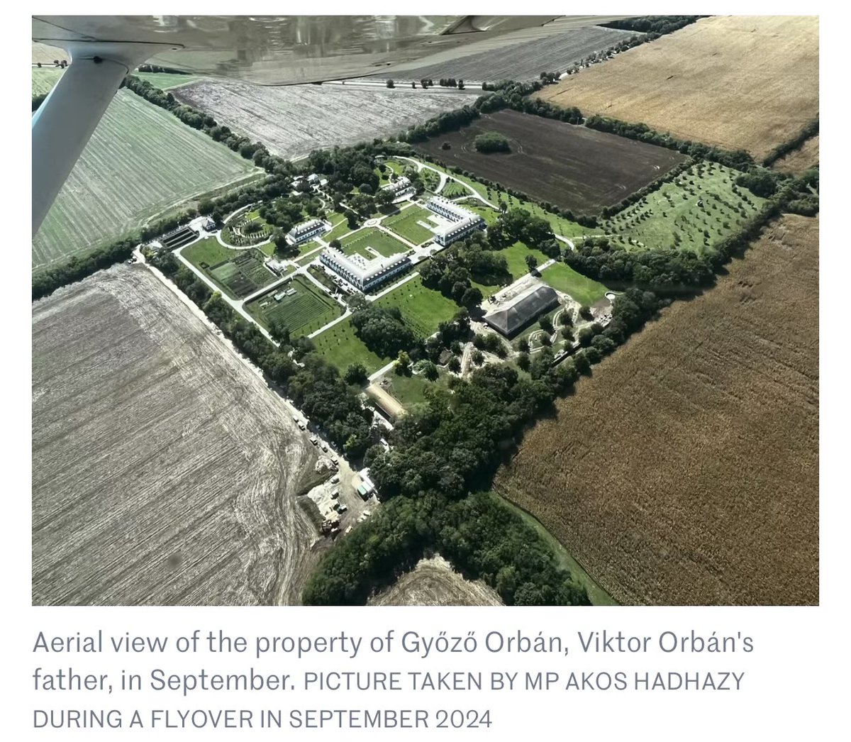 Rae 🌻 @raecattach@mastodon.au tweet media