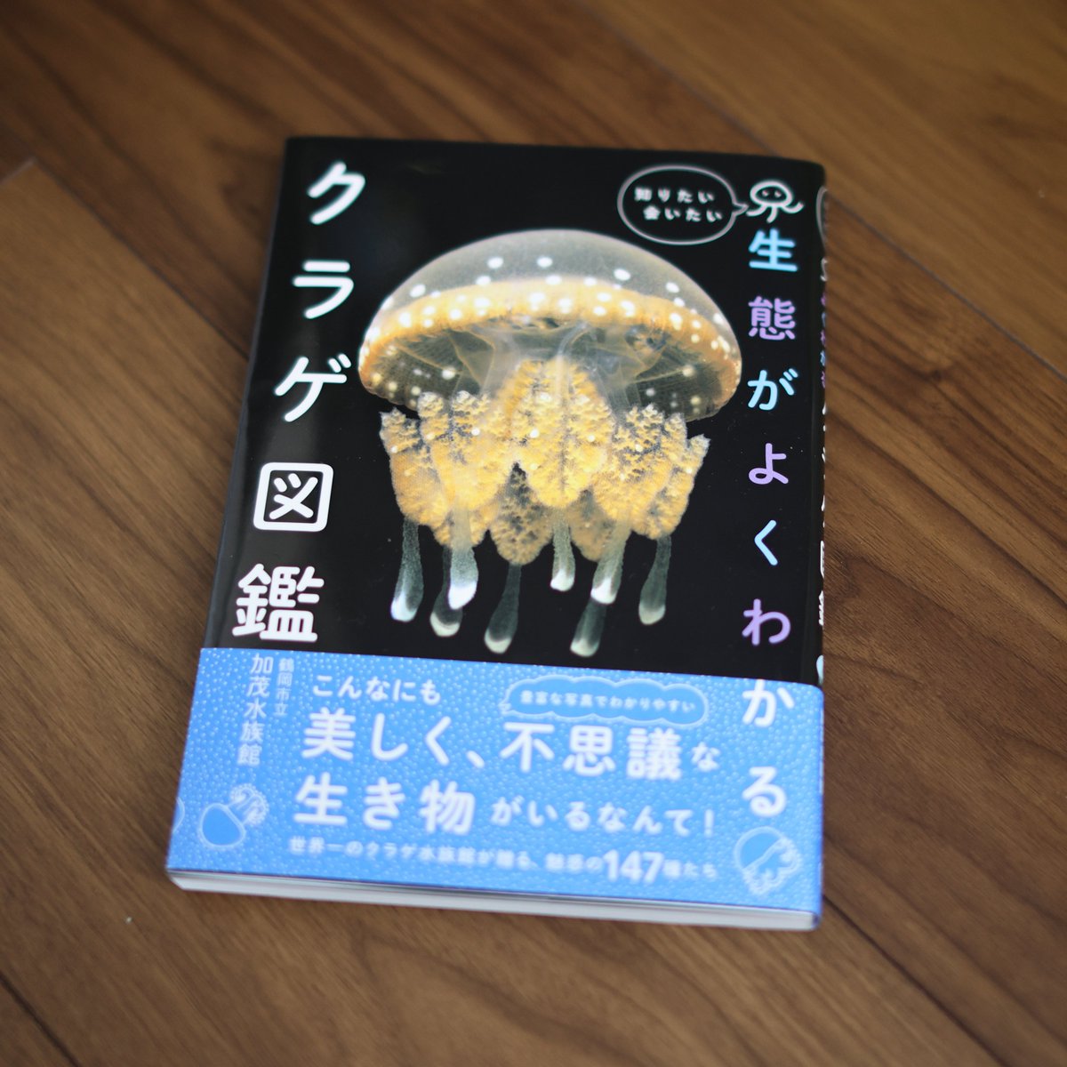 きのこリウム@電子書籍版発売中 tweet media