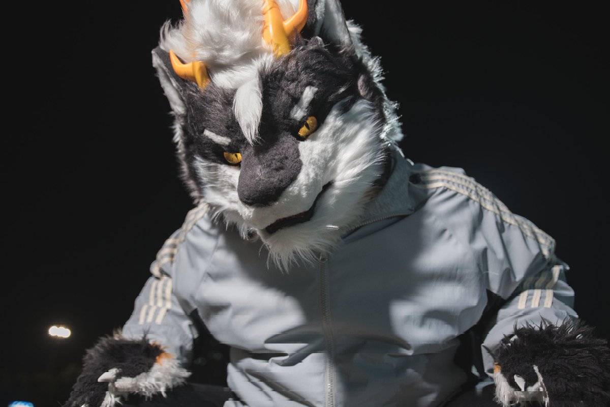 谛悠安 tweet media