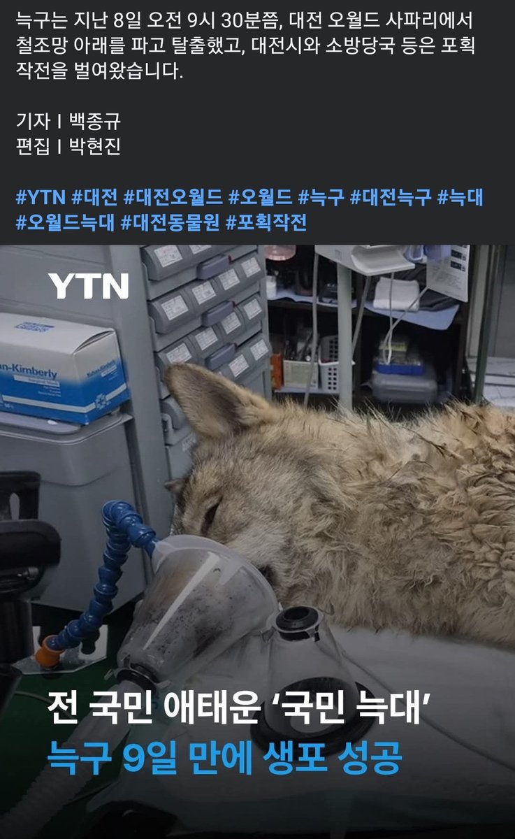 Paul Bazooka 폴바주카 Deepyoon Deepdrome tweet media