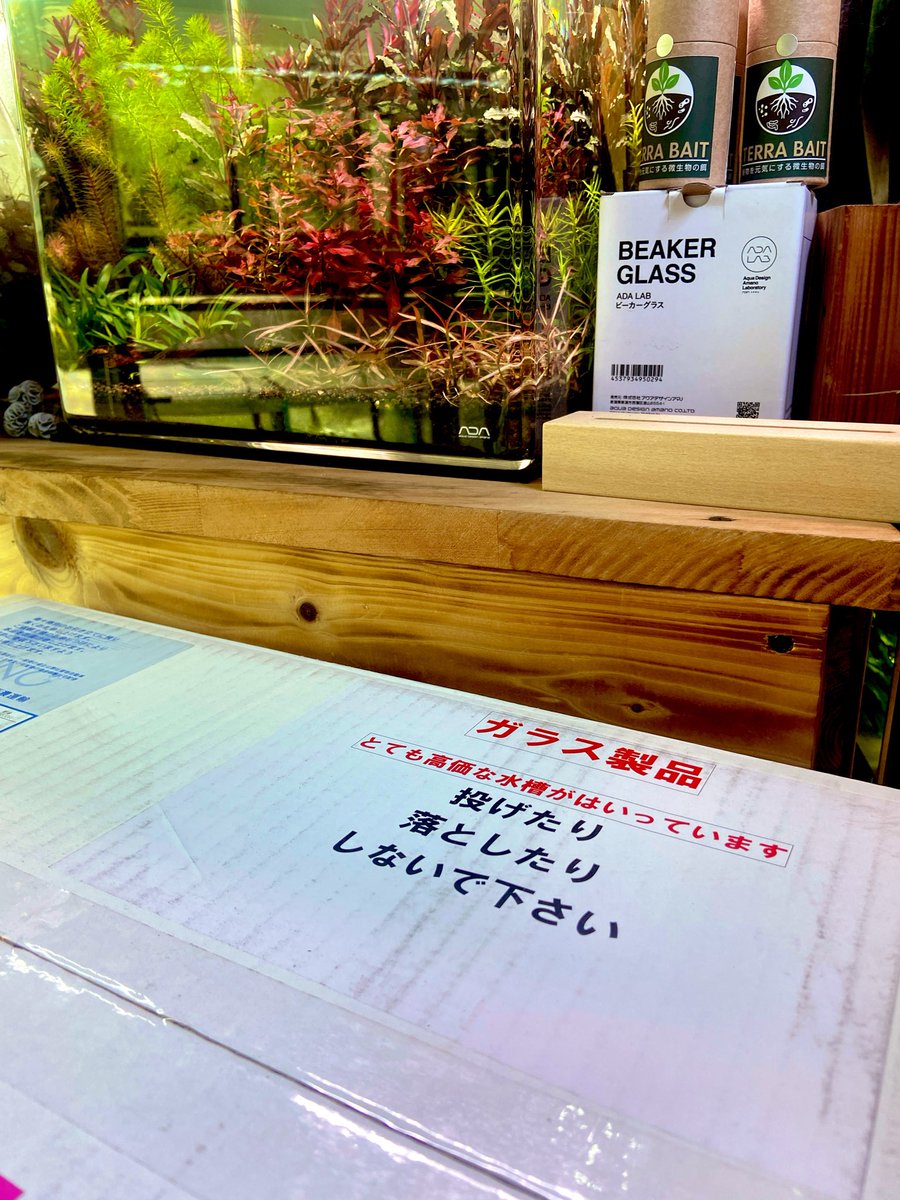 sironekoab's tweet image. おはようございます✨

本日も12:00-20:00の営業になります🈺

今日もスペリアが到着しております✨

あともう１本６０cmが注文中です✨

今夜２１時〜YouTubeLiveです👌

何やるかは、これから考えます🤣

#JB #アクア　#川越　#埼玉