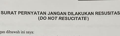 mel 🦊🦖 | 🩹 tweet media