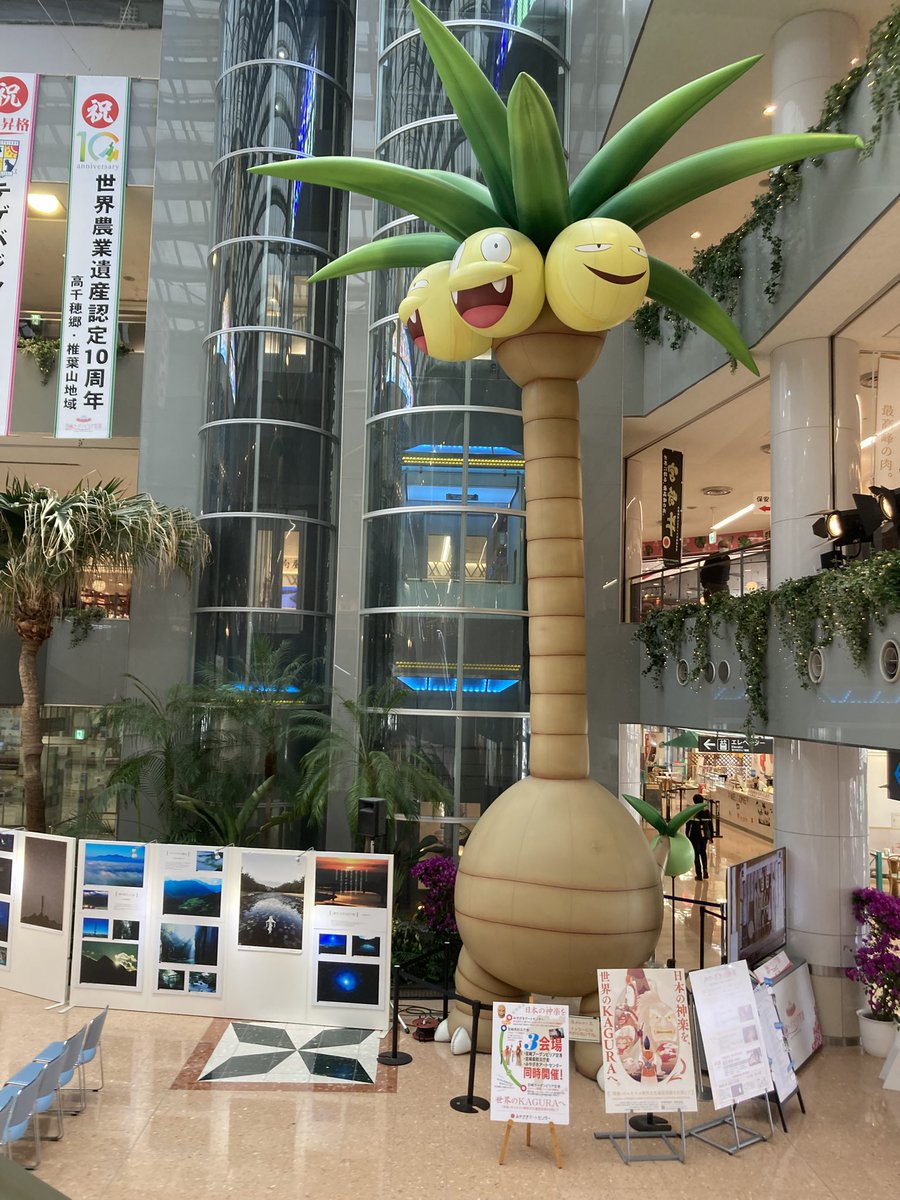 ゴーディ tweet media