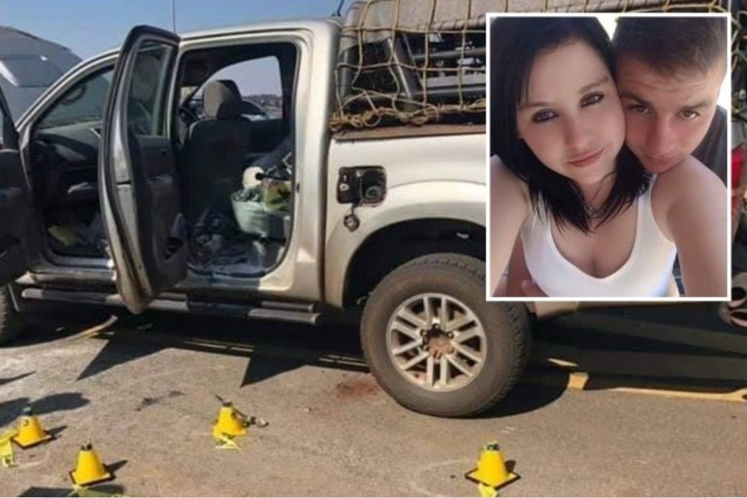 Alice VL tweet media