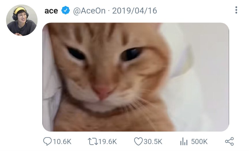 wonmooning's tweet photo. 𝙟𝙖𝙘𝙚 𝙭 𝙮𝙪𝙖𝙣 | #wonhui filo tweets au

— every year a pic of cat/s would appear on aceon’s account. https://t.co/4q1DIODedE