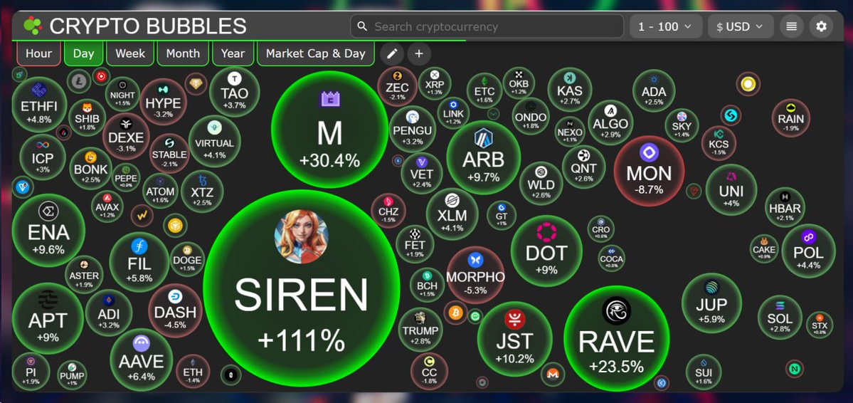 Solo Top tweet media