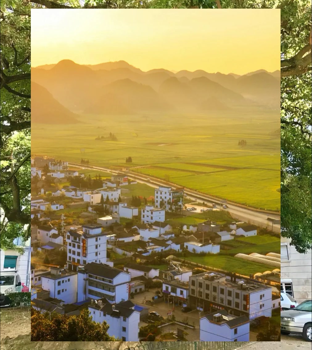 Mark Colley tweet media