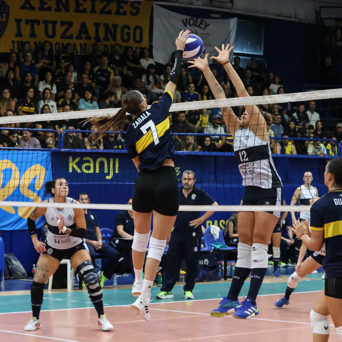Voleibol Argentino tweet media