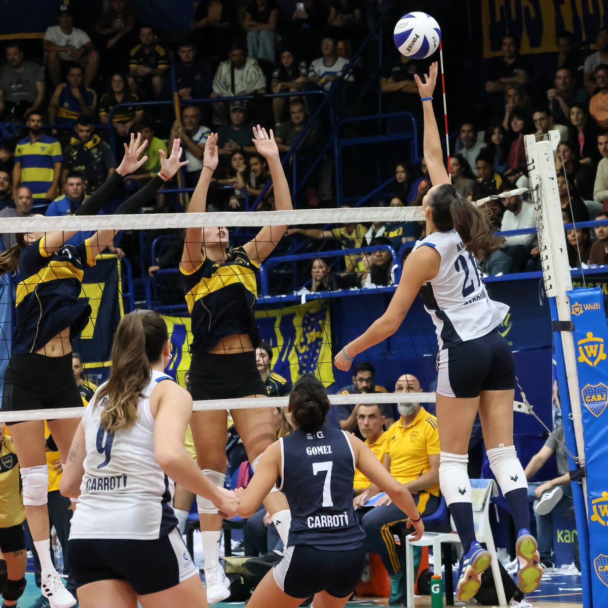 Voleibol Argentino tweet media