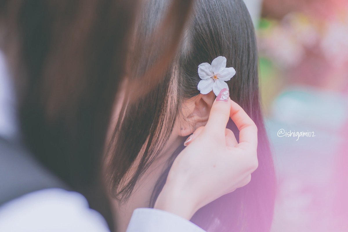 石上夏帆 tweet media