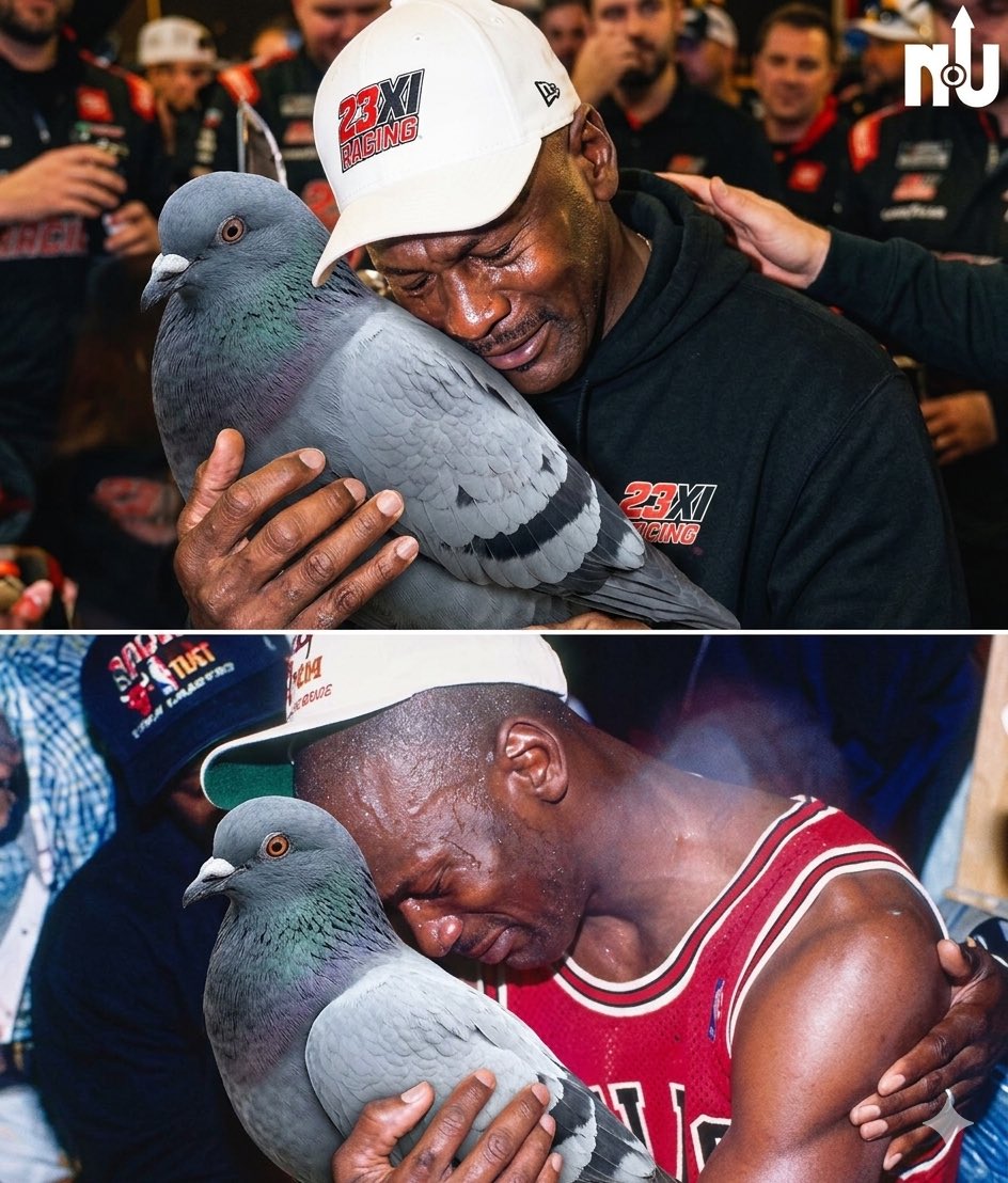 Warren Nakamoto tweet media