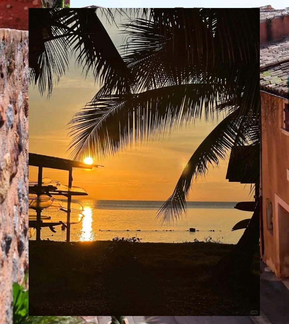 Travis Bacon tweet media