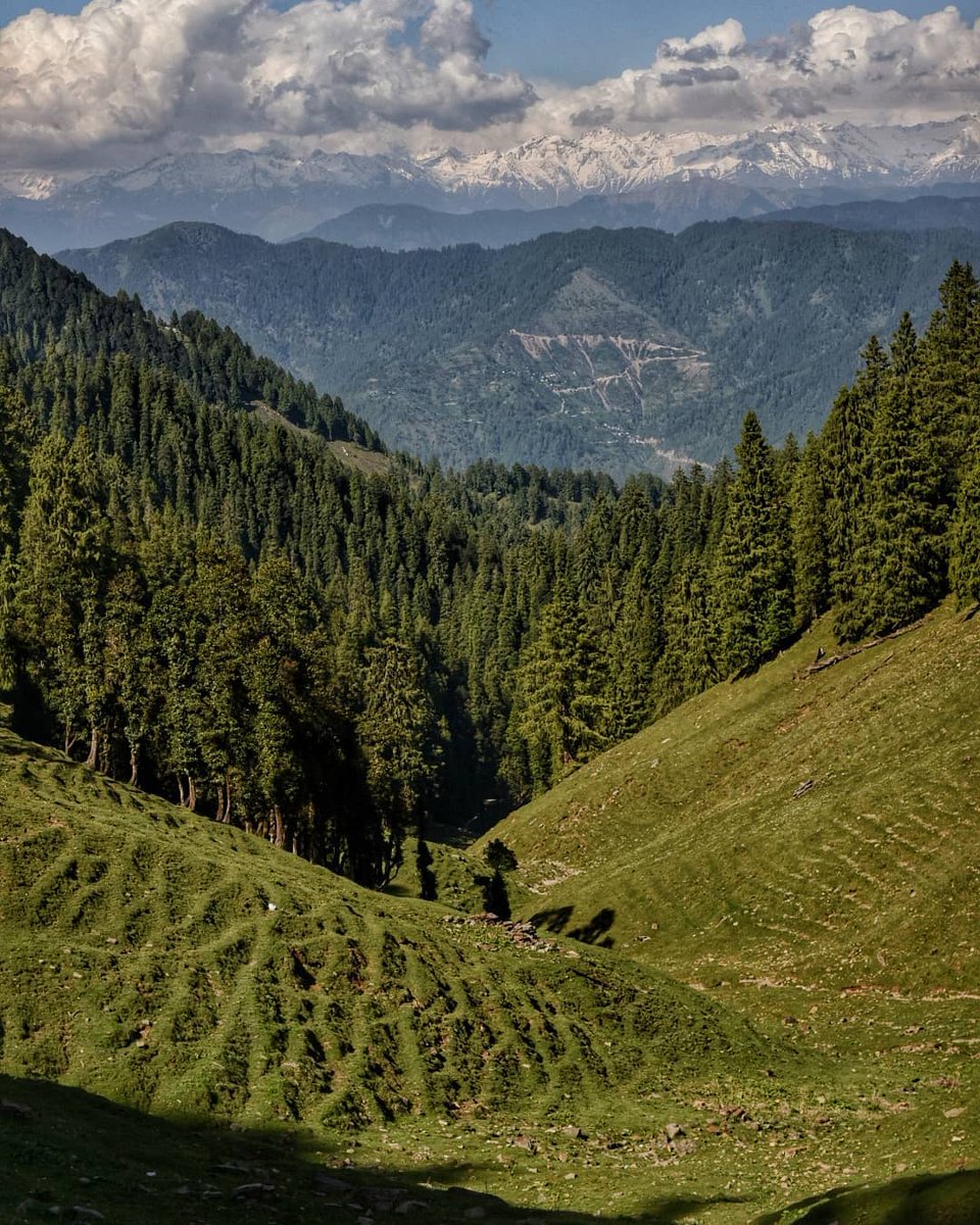 alokntyl's tweet image. Unexplored Himachal... 🌿

Do you want to visit? 👀

Pahadon ki dhoop alag hi level pe hoti hai ☀️

Na AC chahiye, na filter.....

Bas ye view aur thodi si chai, life set ❤️
Tag someone you’d come here with 👇

#HimachalPradesh #HiddenHimachal #MountainLife