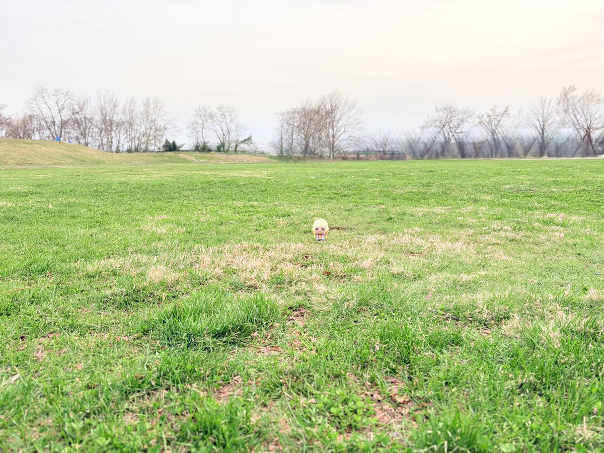 ししゃも tweet media