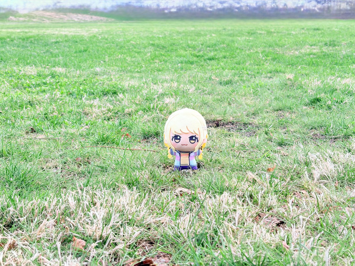 ししゃも tweet media