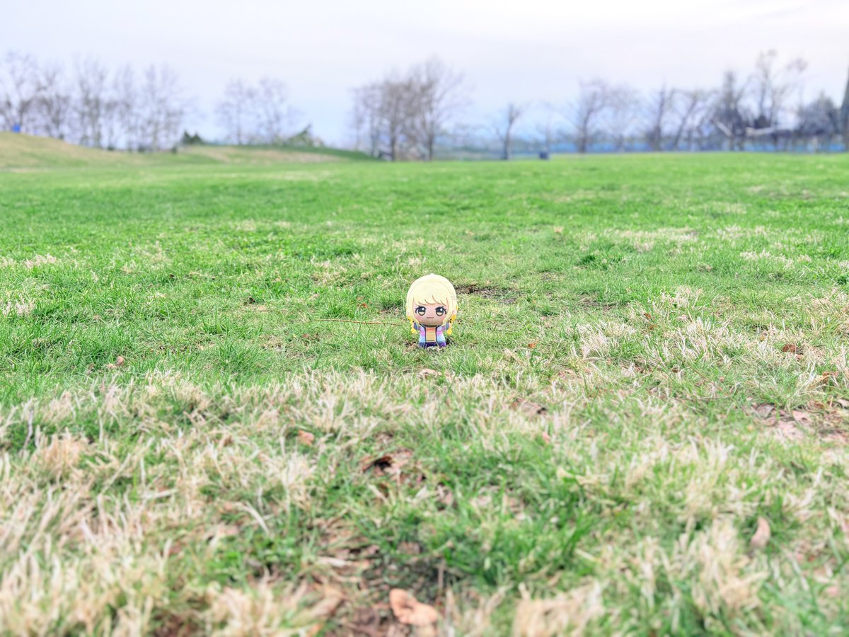 ししゃも tweet media