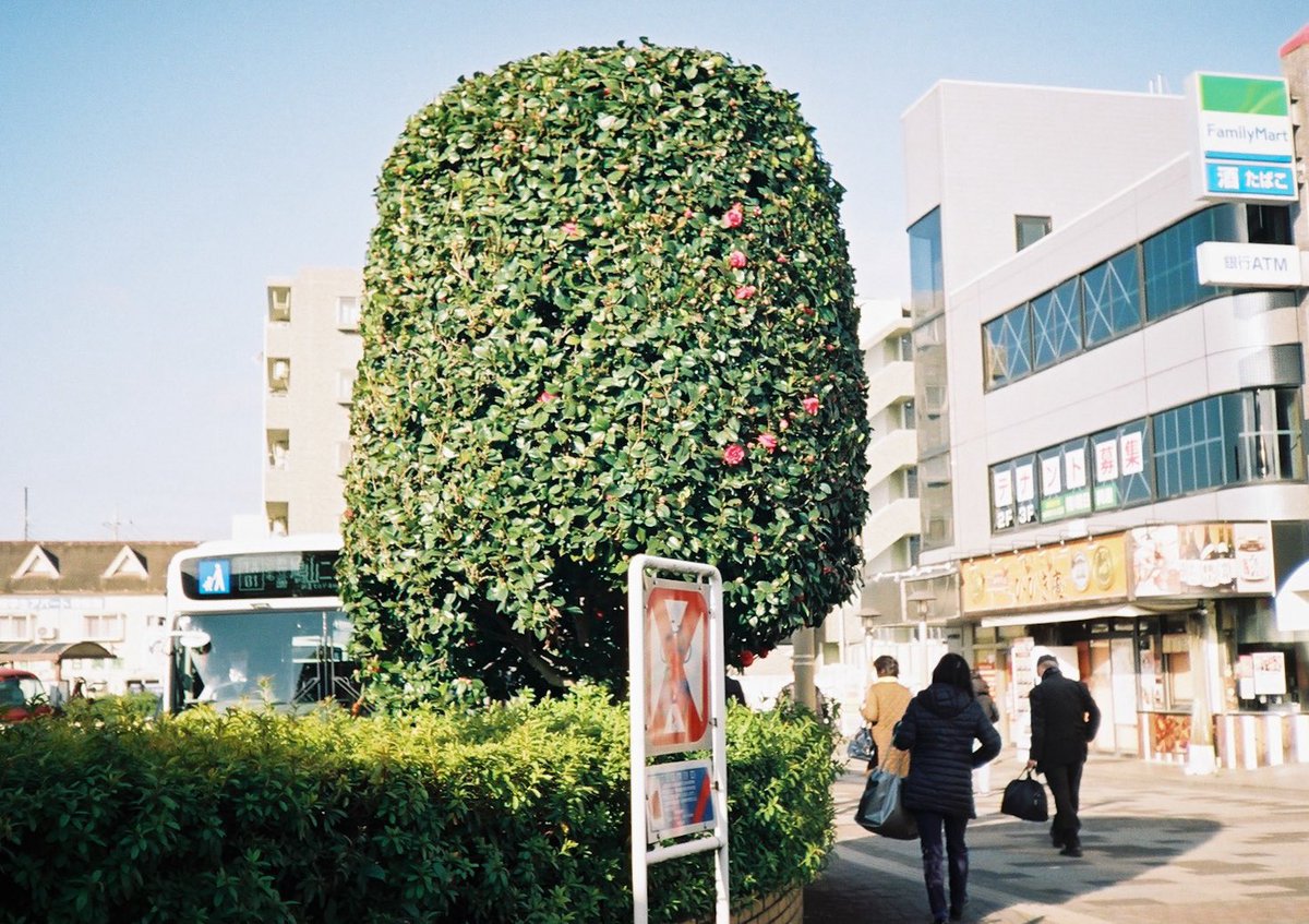 小井里 ゆか tweet media