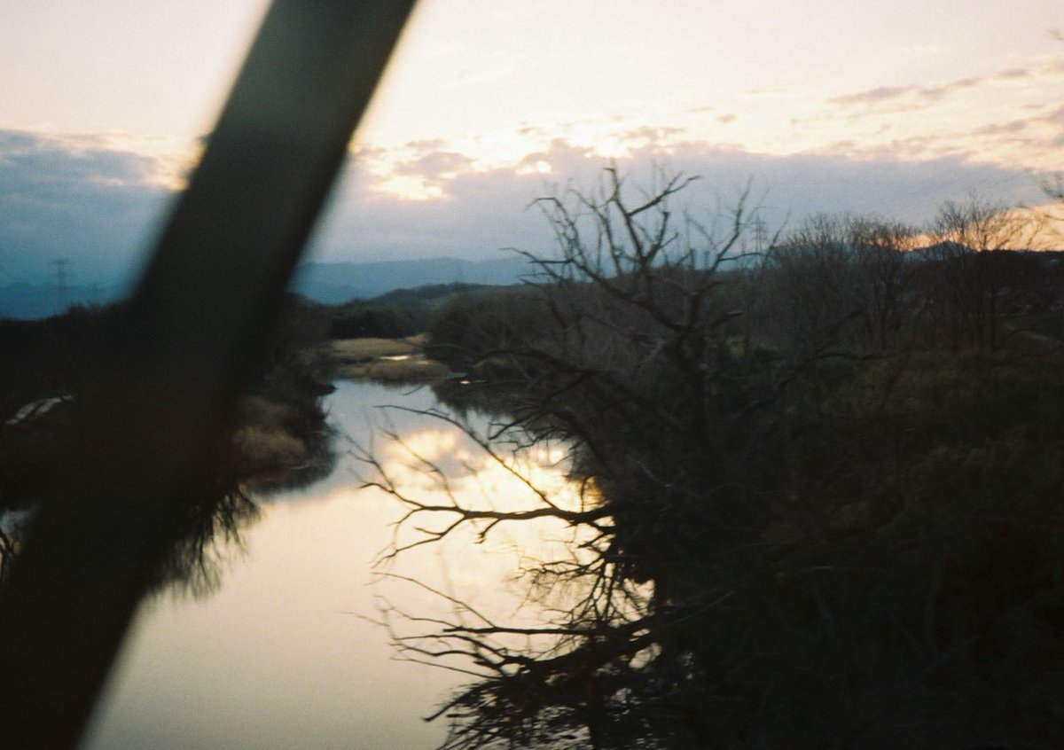 小井里 ゆか tweet media