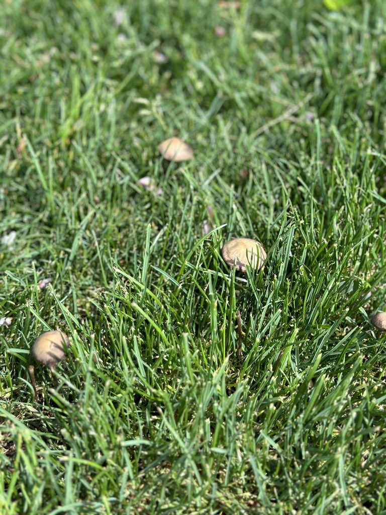 不抽细烟 tweet media