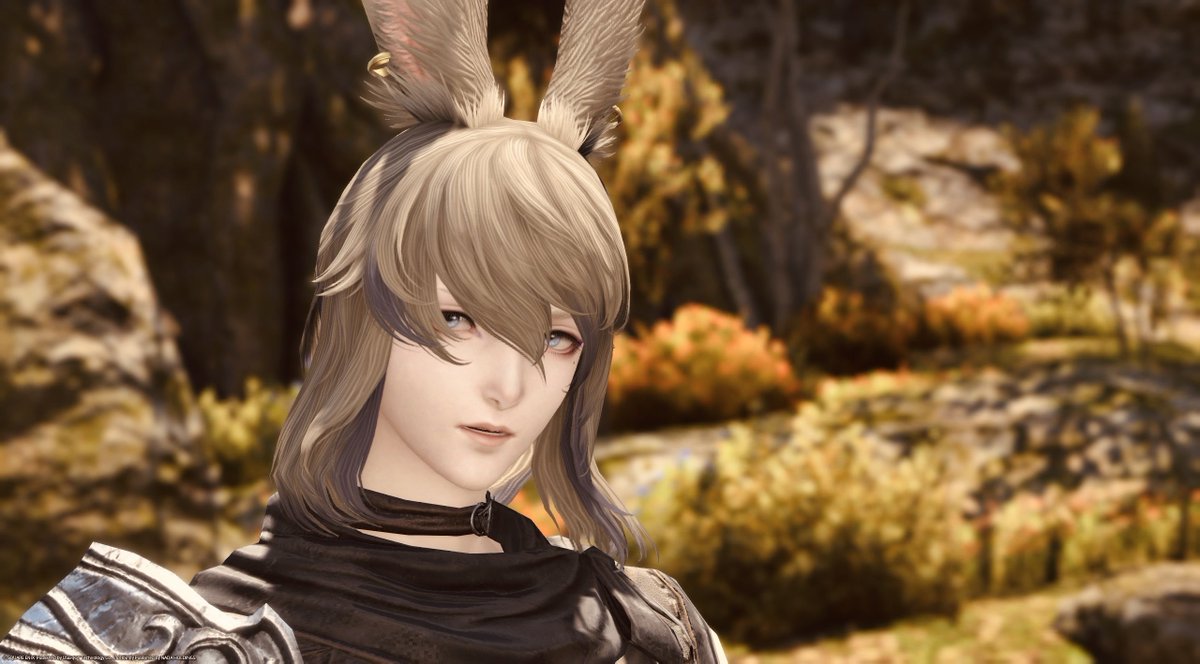 ffxivns's tweet photo. みみがなくなっちゃったけど

#ウサオ #トモコレ https://t.co/jXfMqPQMlL