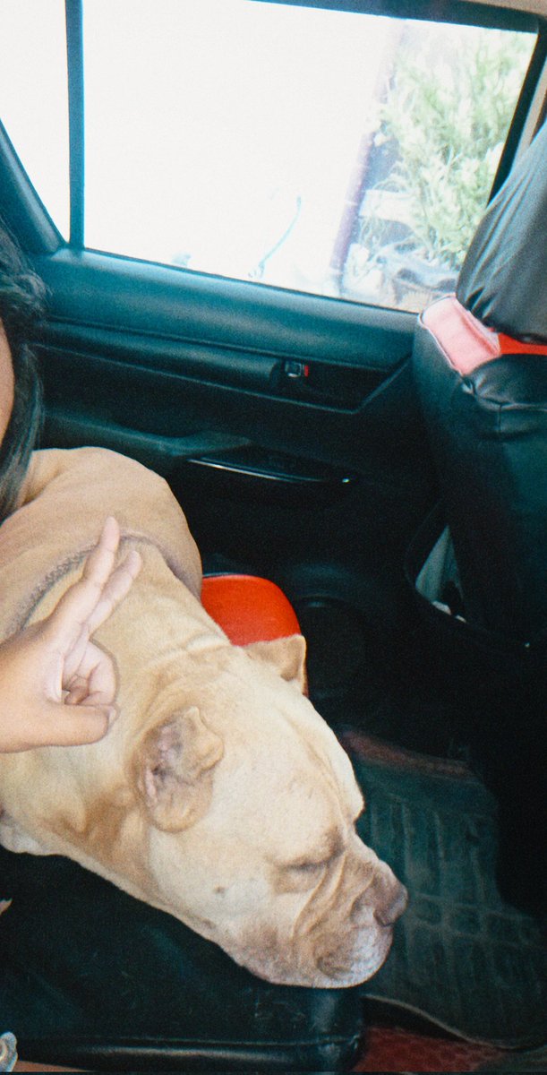 จี๊ดเจ๋ง tweet media