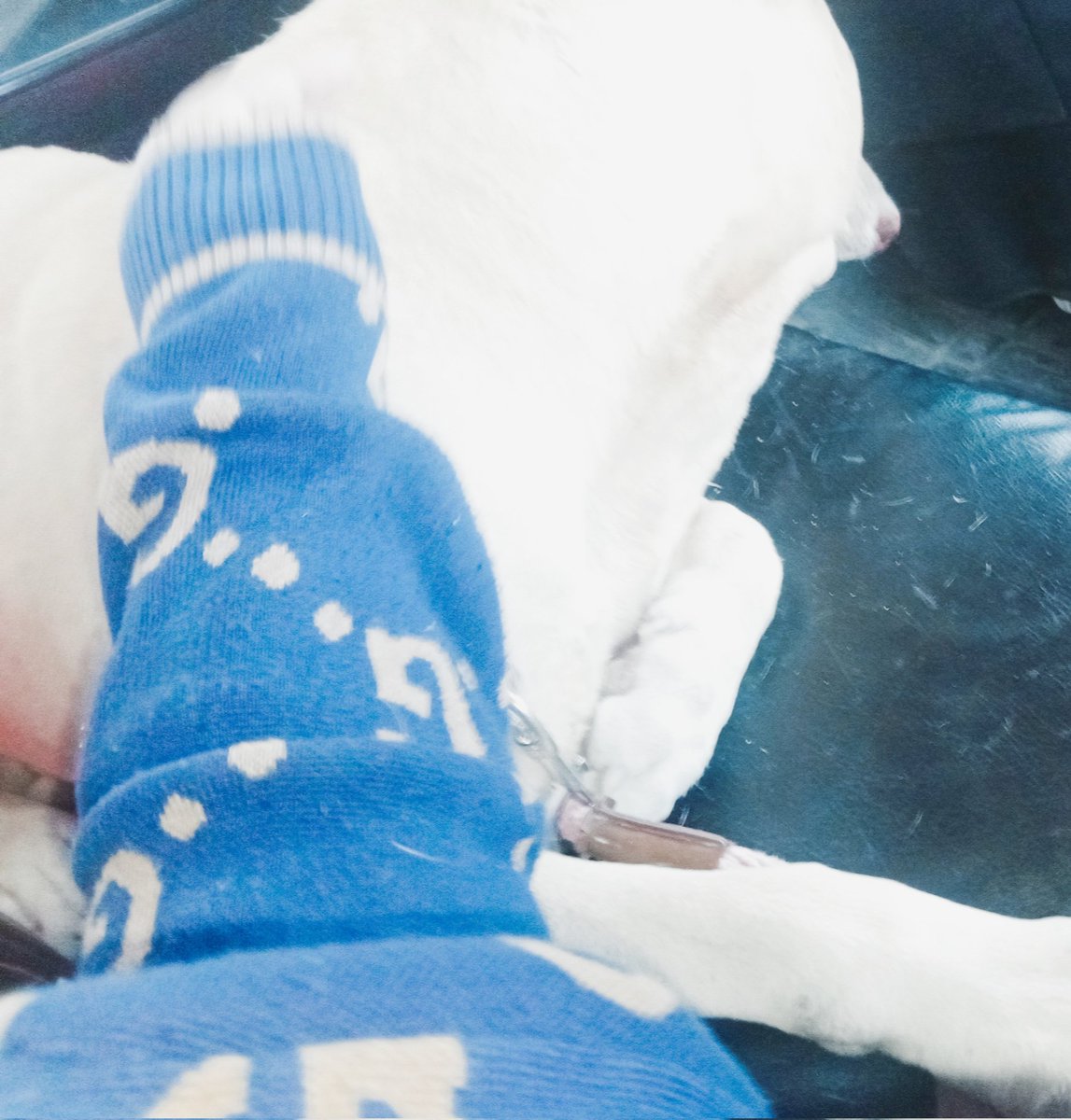 จี๊ดเจ๋ง tweet media