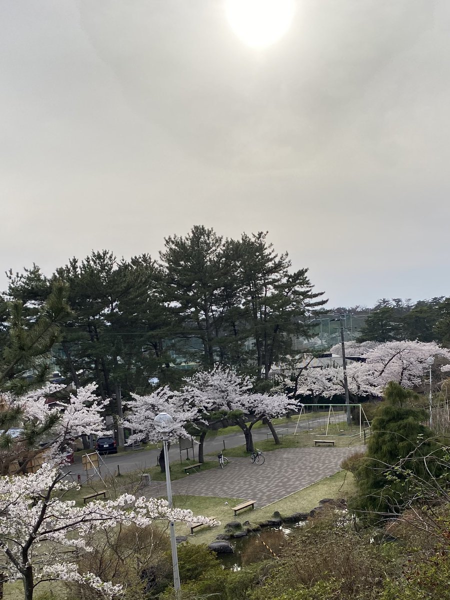 秋田山王男 tweet media