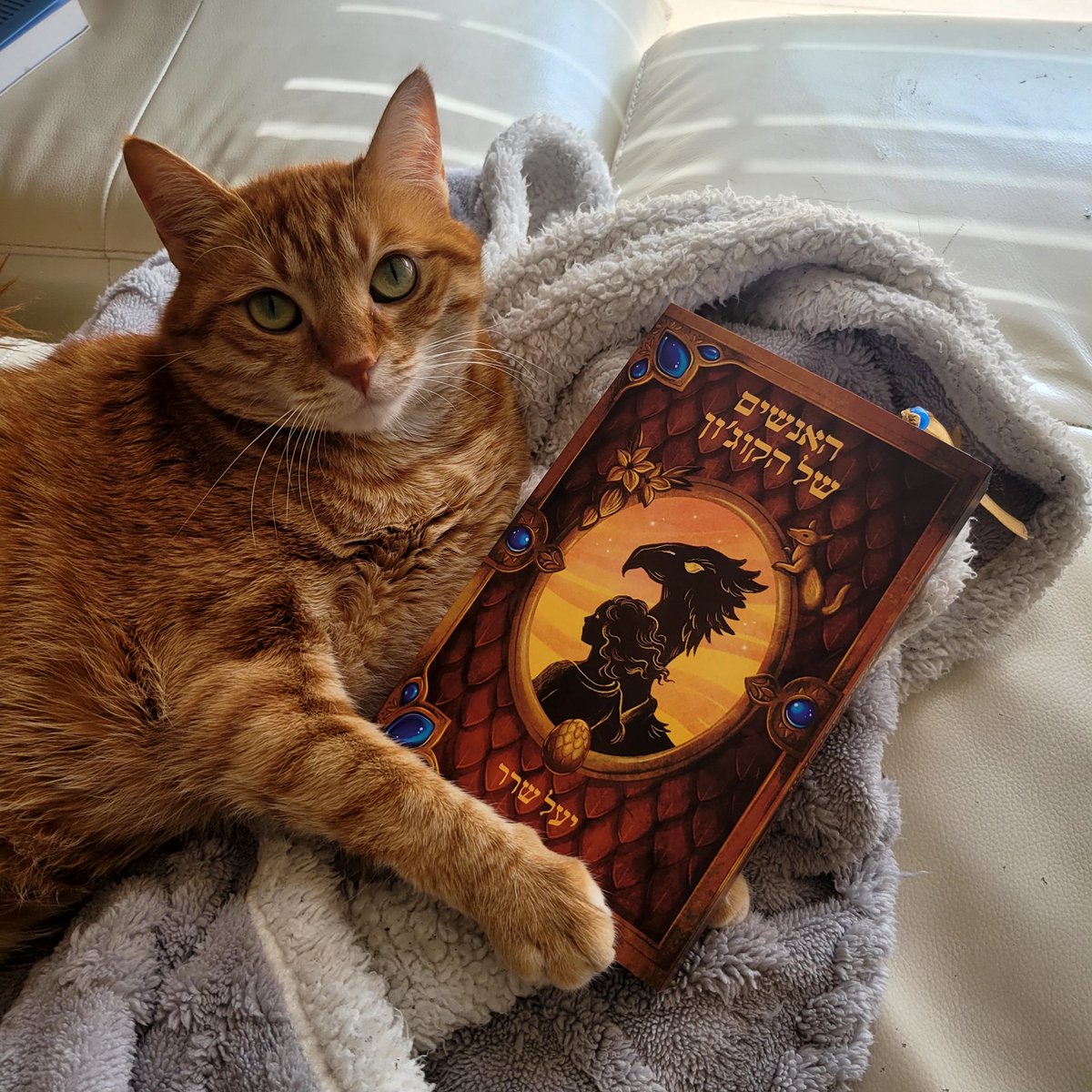 הבוקר ביקרתי את <a href="/YaelSherer/">yael sherer</a>  הנפלאה והמוכשרת שהפציעה בכפר סבא סיטי, קיבלתי כיף ורכשתי את ספרה "האנשים של הקוג'ון" כולל הקדשה לי ולשמרצי. להלן חתול מרוצה של אלקסה המרוצה עוד יותר. כפר סבאים גאים התאחדו והתפקדו בקניון הירוקה ❤️😻