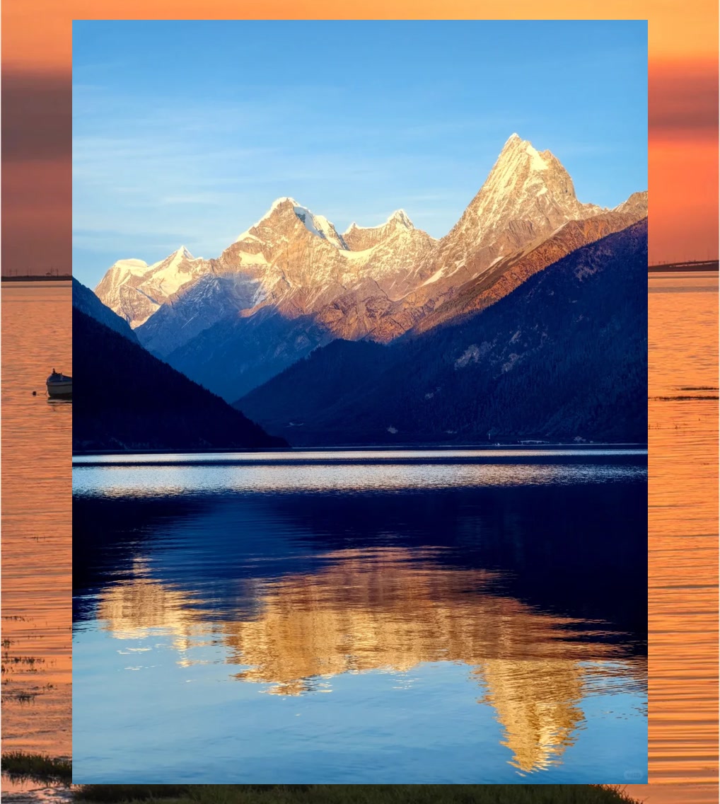 Michelle Duncan tweet media