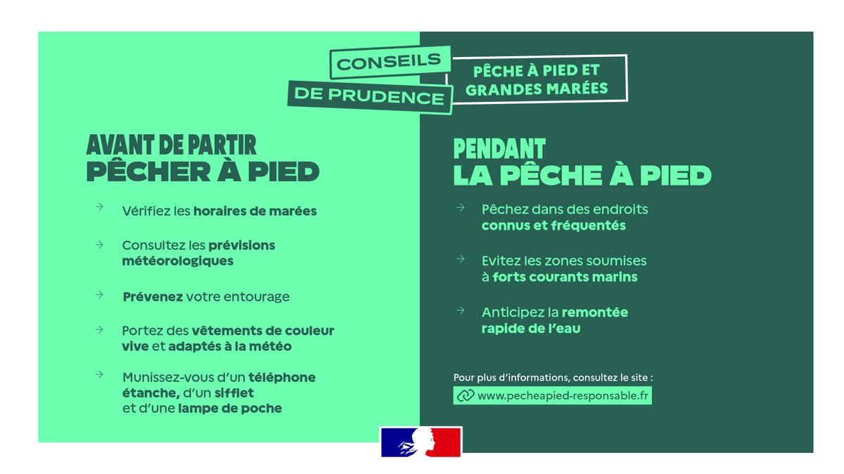 Image de Préfet de Bretagne et d'Ille-et-Vilaine - #Environnement | 🐚 Pour une pêche à pied responsable, adoptez les bons gestes :

✅ Vérifiez les zon