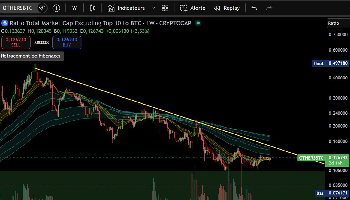 Joestar⭐ tweet media