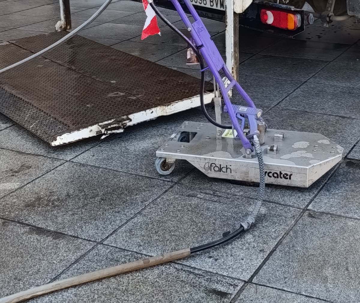 María José tweet media