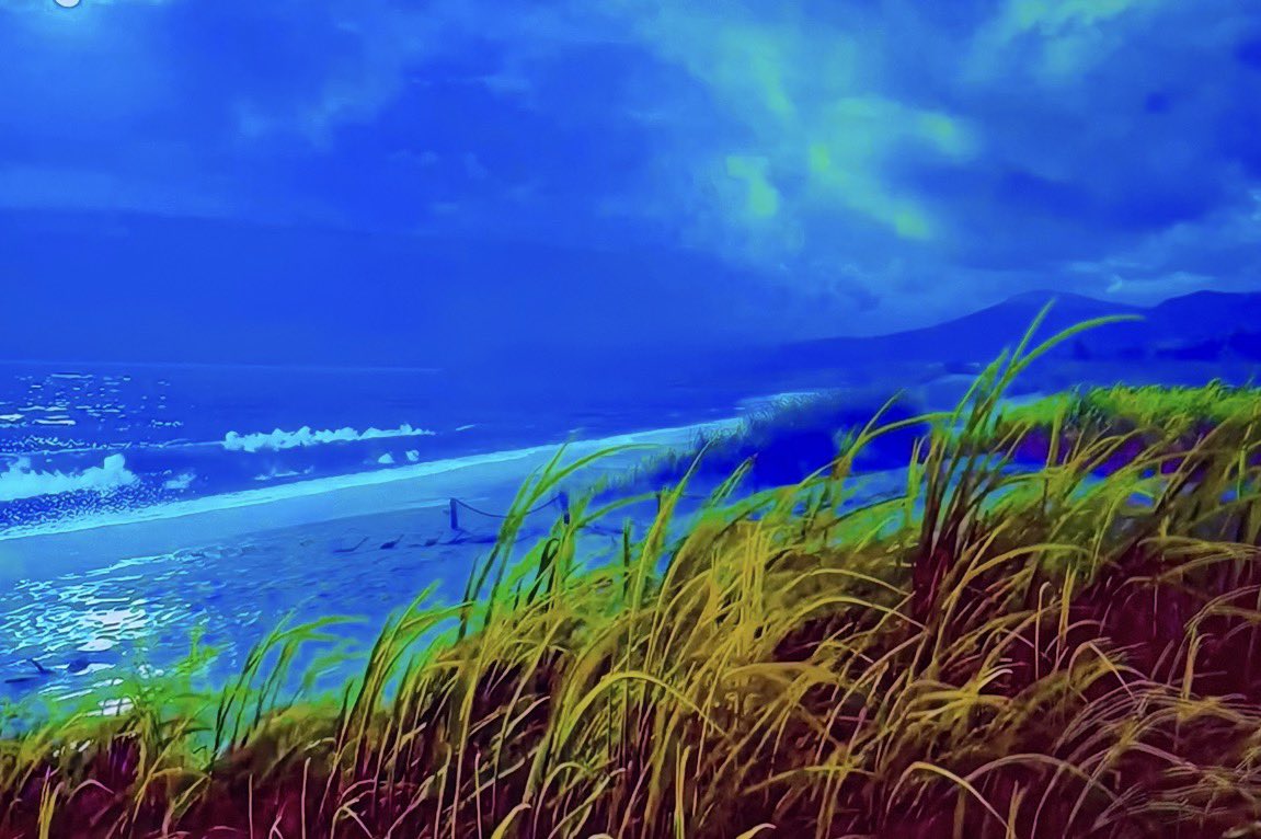 بنت سدير tweet media