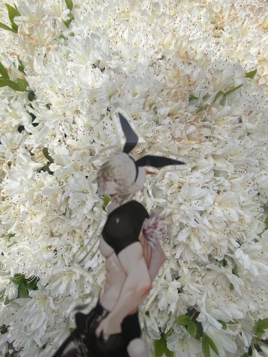 ヘルシヱイク久坂＠11/16 末グリ 東8 ギ8b tweet media