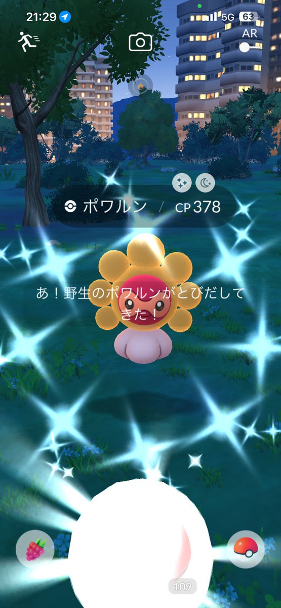omochimaru88's tweet photo. 久しぶりの色違い✨
サニーゴがほしい😂 https://t.co/lmoWpHAbDf