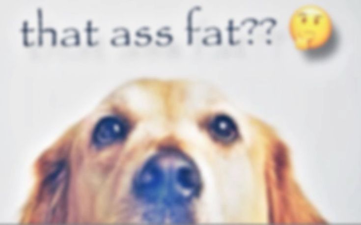 ‎ ‎ ‎ ‎ ‎ 𝗮–𝘁𝗿𝗮𝗶𝗻‎ ‎ ‎ tweet media