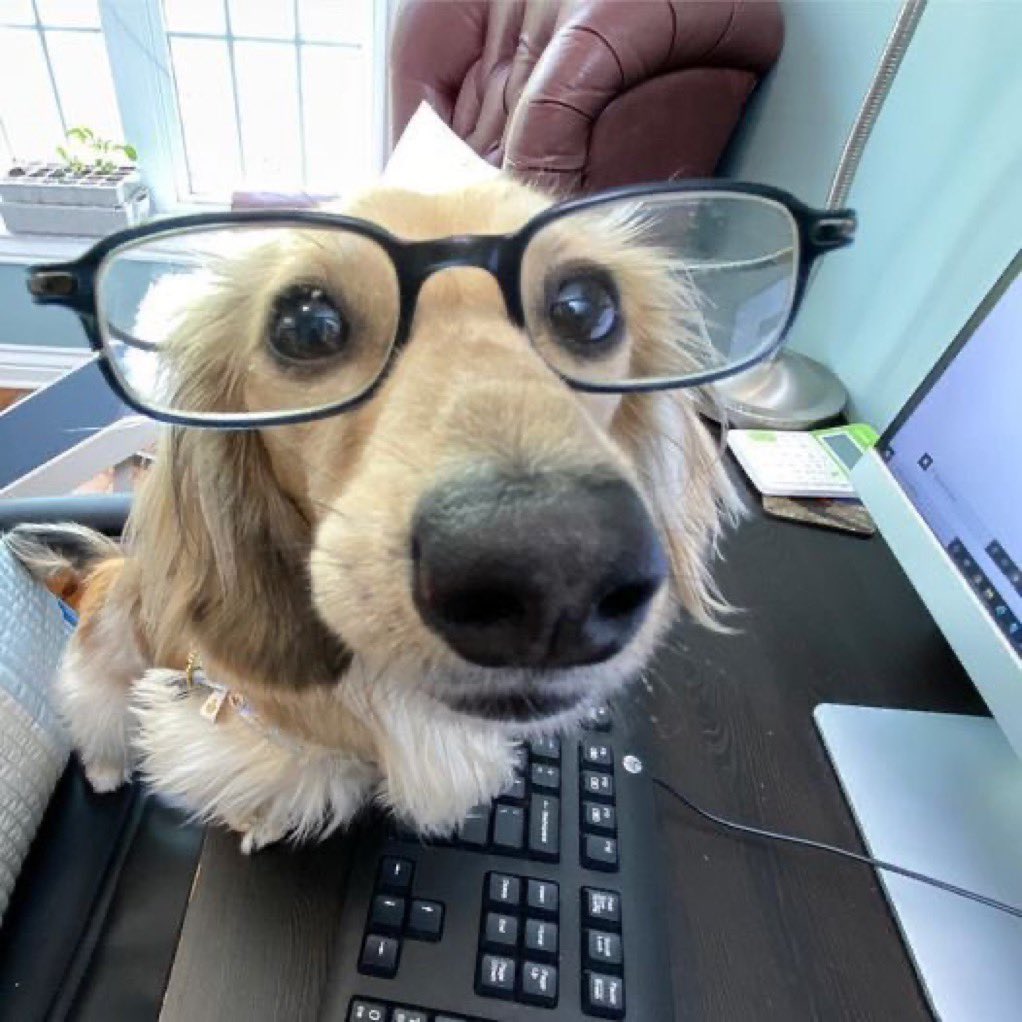 can i come over and stare at you like this