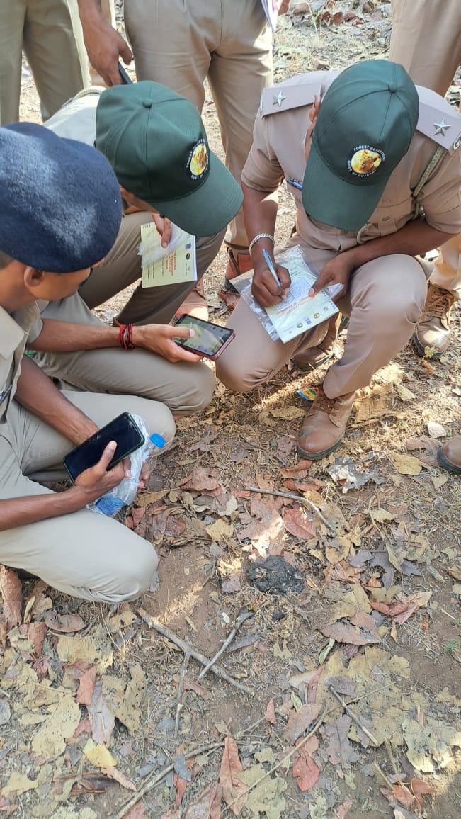 MSTrIPES's tweet photo. Day 2 of Gujarat AITE ToT26, Field session: Into the wild 🌿 Participants conducted a 5 km sign survey, gaining hands-on experiences about protocol &amp; recording carnivore 🐅🐆 signs using the #MSTrIPES Ecological App (Form 1).
#AITE26 https://t.co/vxy9vIfUlh
