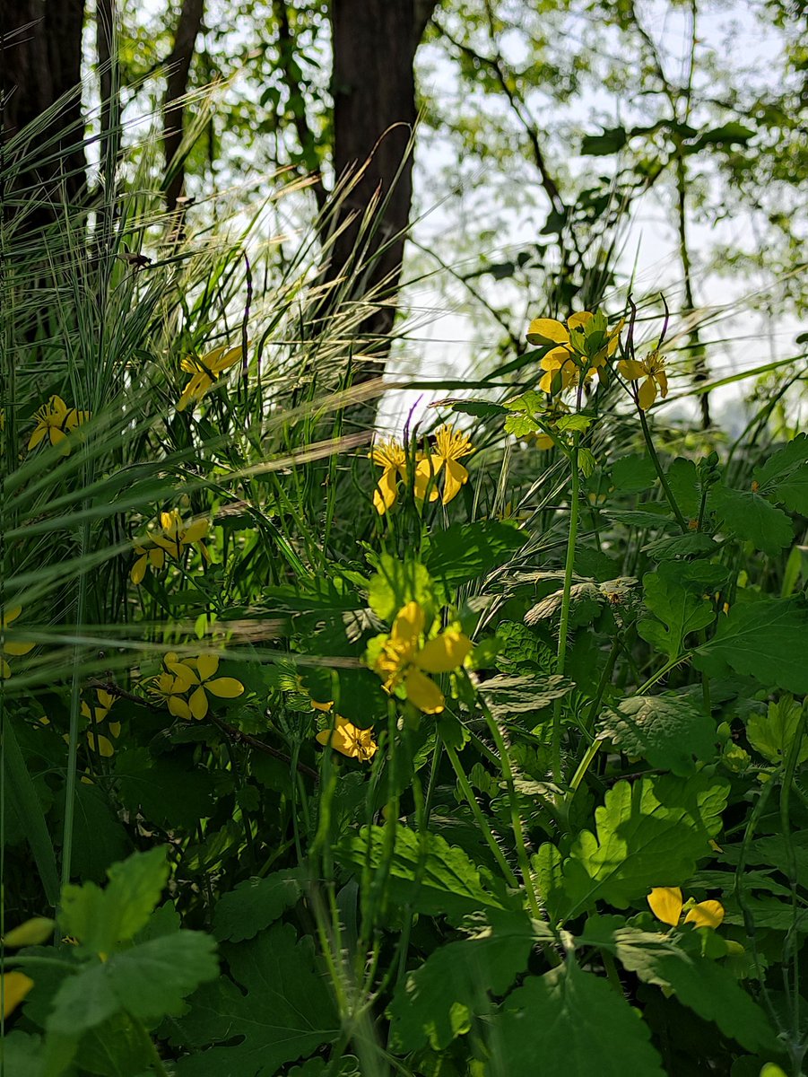 Latitudine45°16'D tweet media