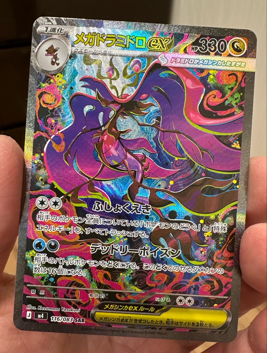 美しい✨