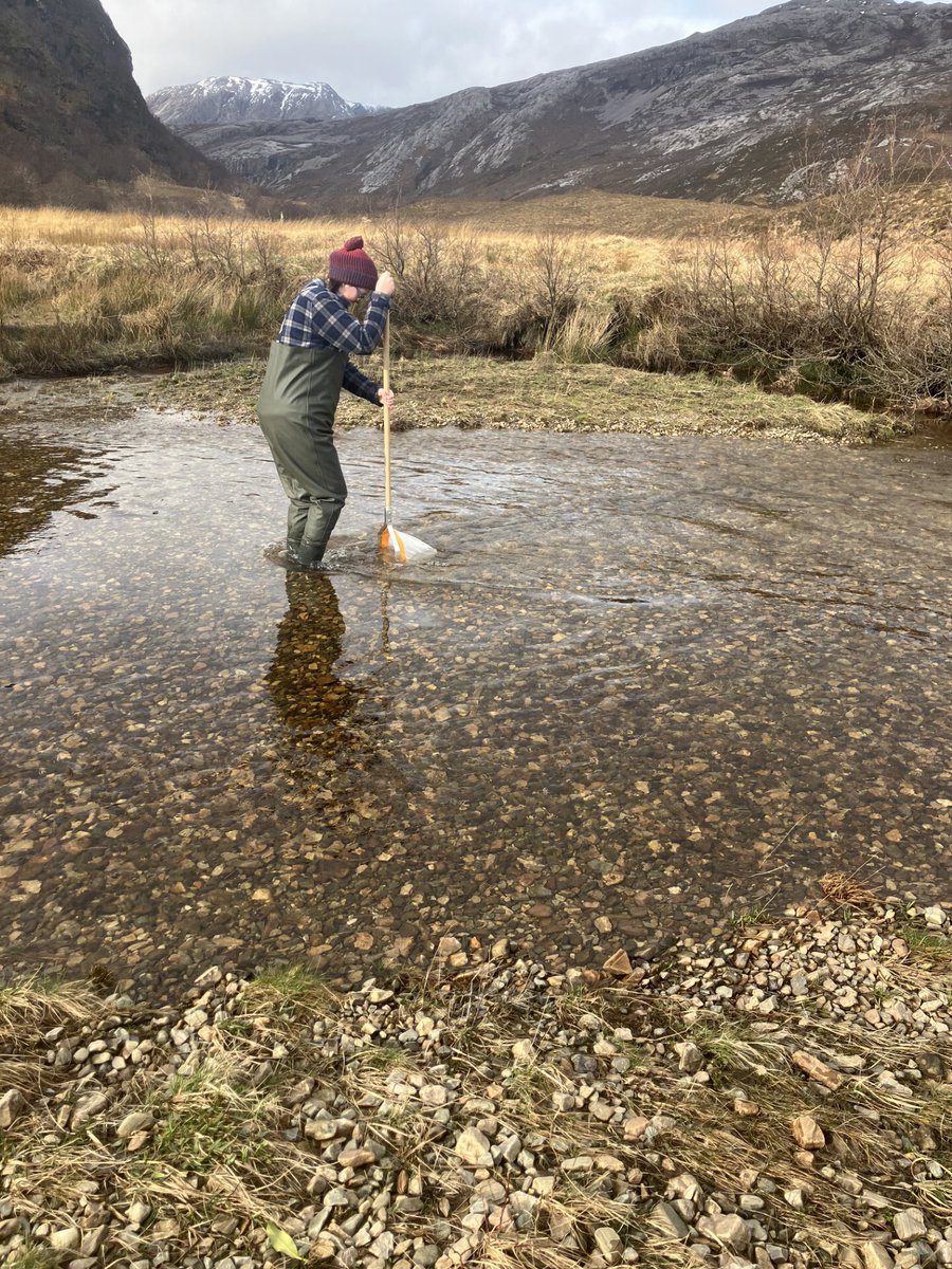 WSFTrust's tweet photo. ...and just like that, field work has started. We managed to get the weather and excellent help. Thanks to everyone that turned out, get in touch if you'd like to volunteer. https://t.co/VEF9vxA9Sn