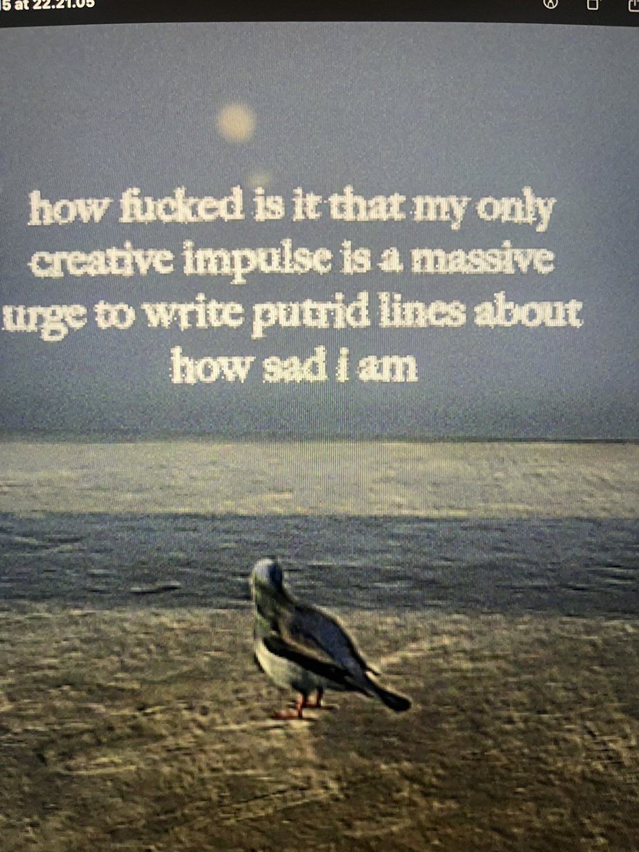 sam eng (@bysameng) on Twitter photo 