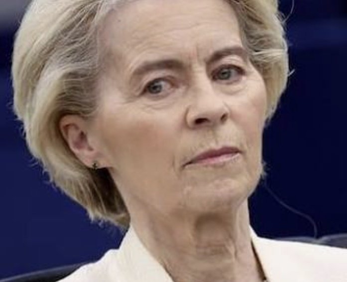 🇫🇷One tweet media