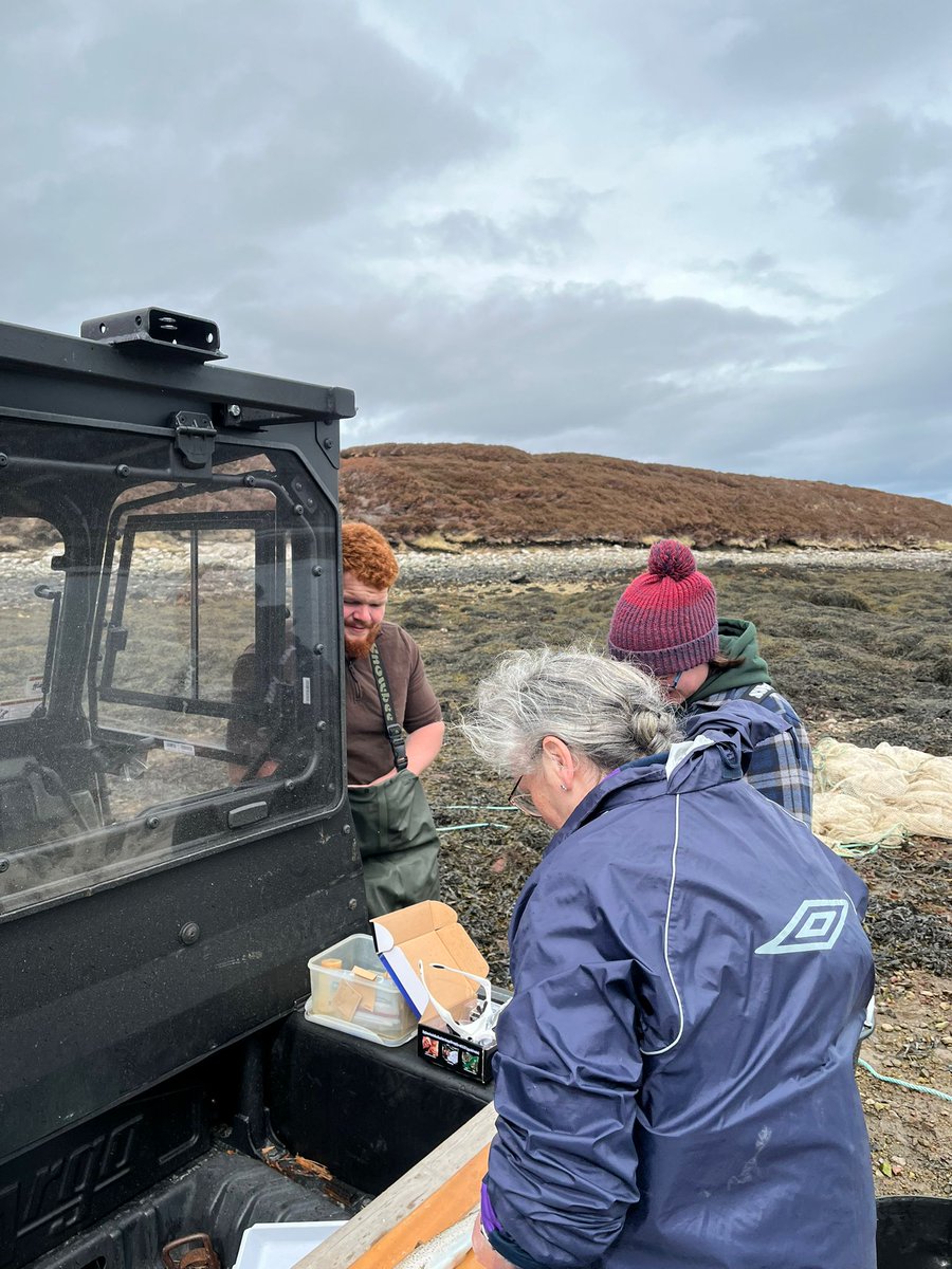 WSFTrust's tweet photo. ...and just like that, field work has started. We managed to get the weather and excellent help. Thanks to everyone that turned out, get in touch if you'd like to volunteer. https://t.co/VEF9vxA9Sn