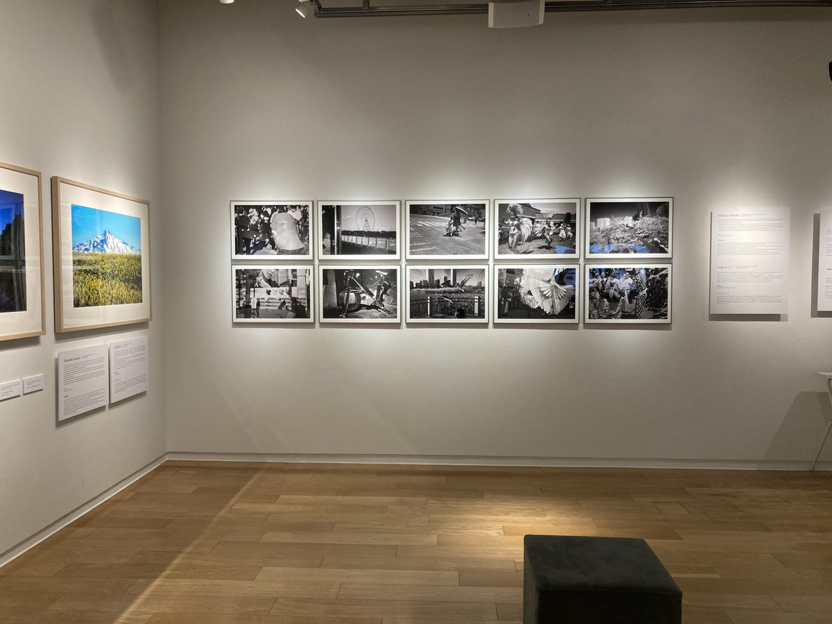 Sony Imaging Gallery tweet media