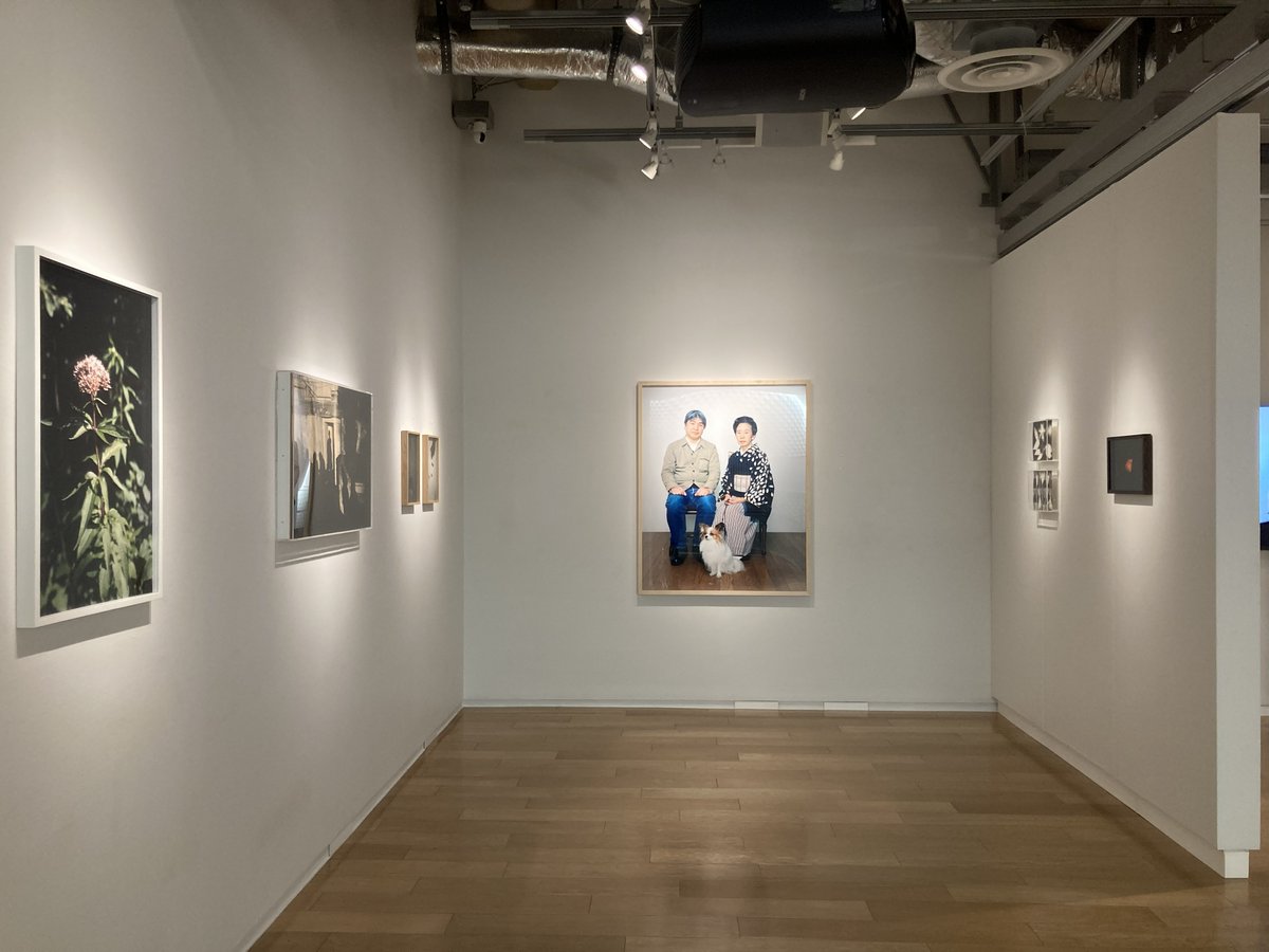 Sony Imaging Gallery tweet media