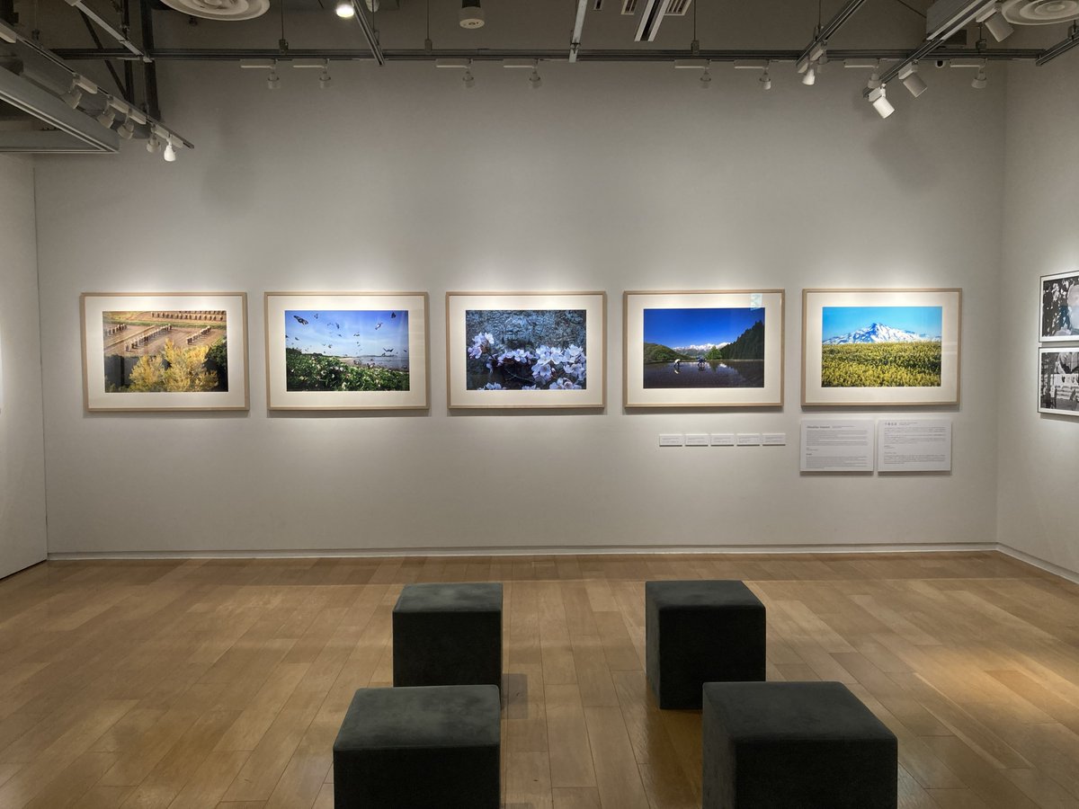 Sony Imaging Gallery tweet media